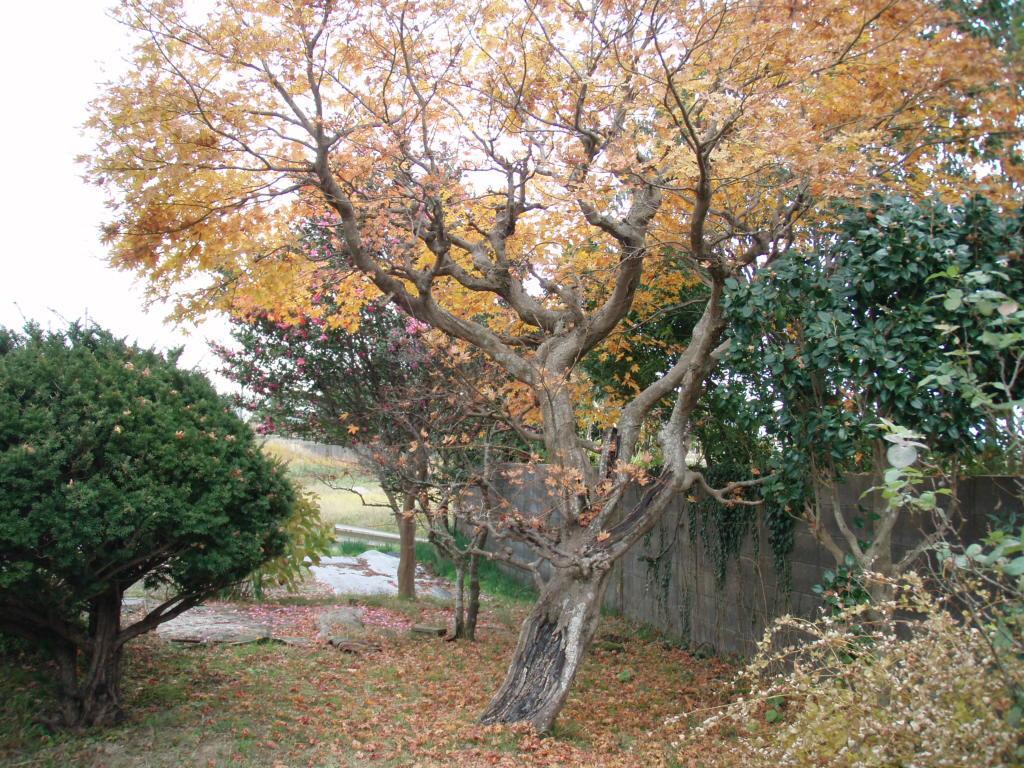 Guesthouse Hokkai Nanao Bagian luar foto