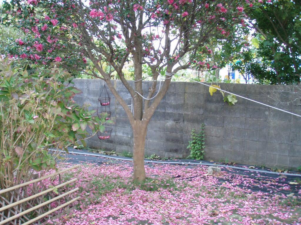 Guesthouse Hokkai Nanao Bagian luar foto